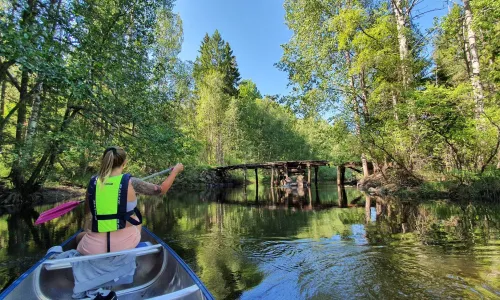 Paddling Ödmården