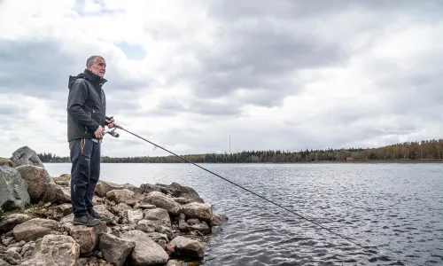 Fiske vid Ljusnans mynning