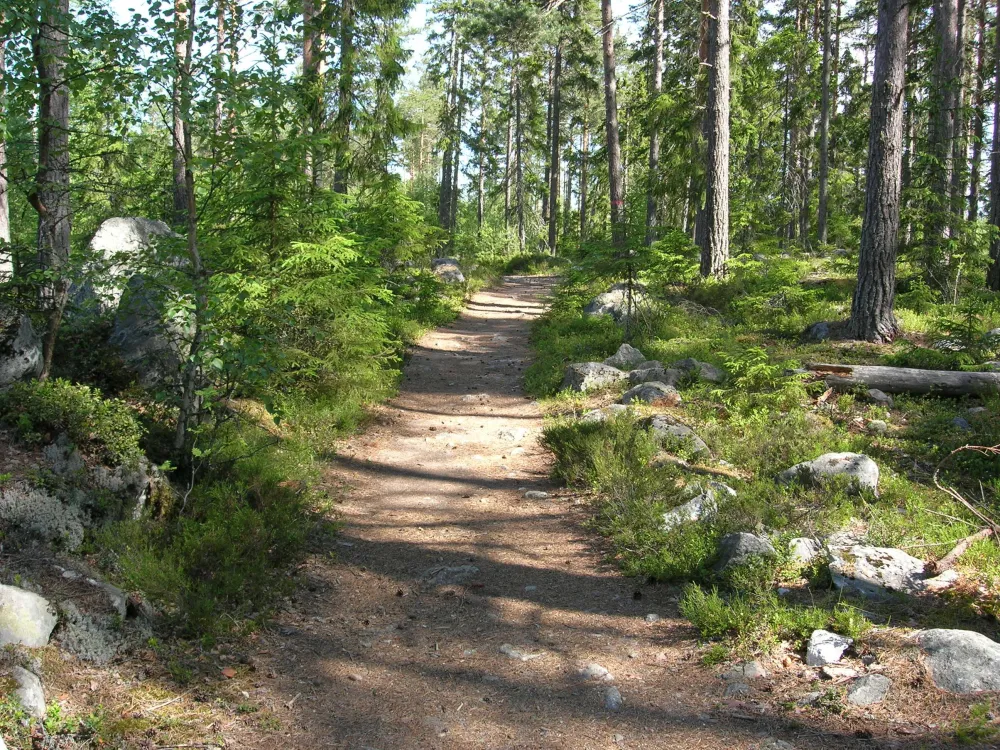 Mostigen vandringsled