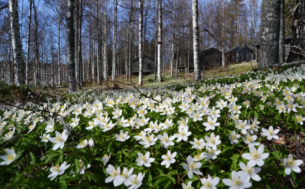 Trönö Övernattningsrum