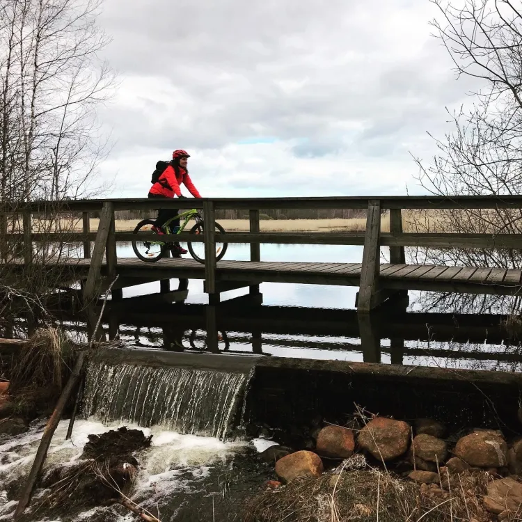 Naturreservat Ålsjön 