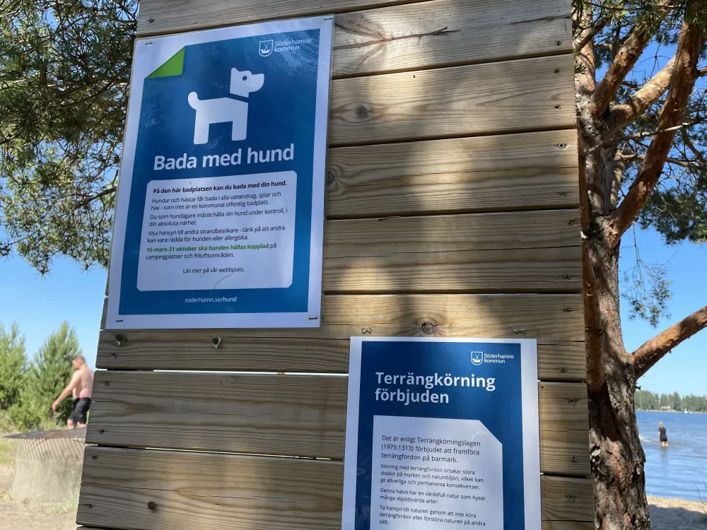 Stenö hundbad