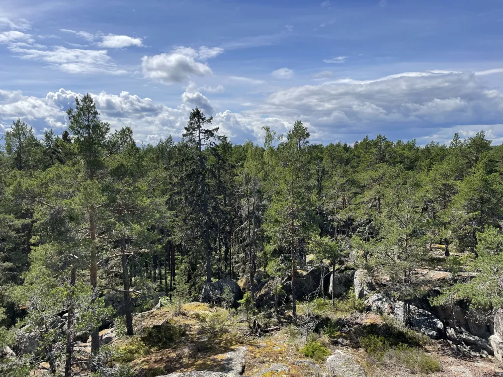 Naturreservat Skatön 