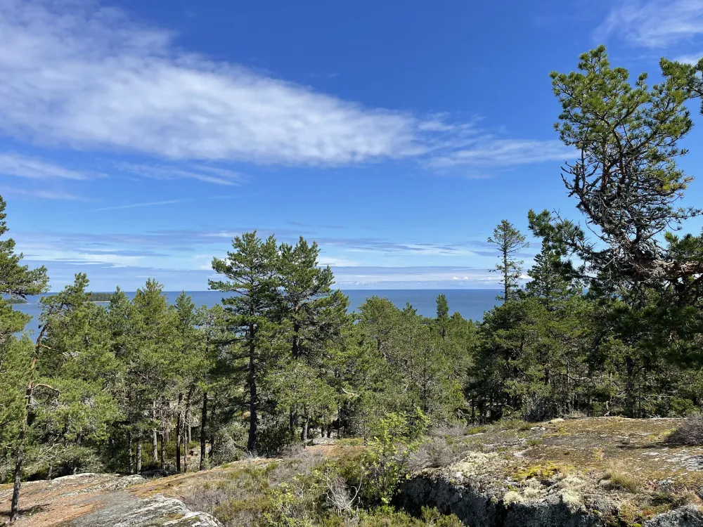 Naturreservat Skatön 