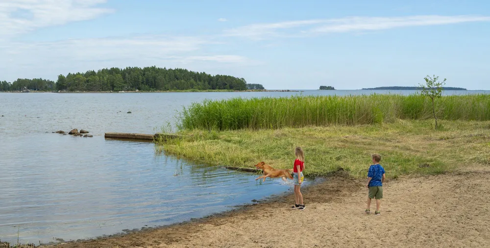 Hundbad vid Stenö