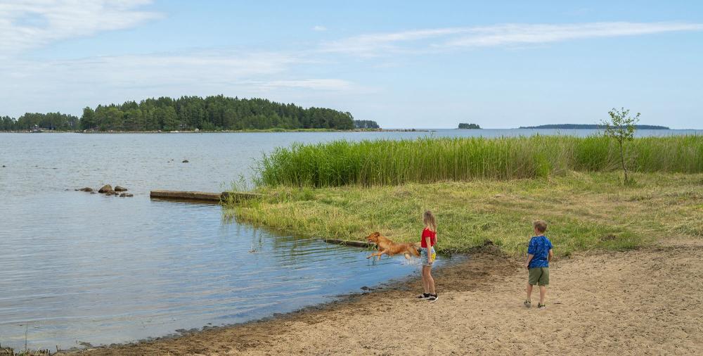 Hunden badar och leker med barn vid Stenö