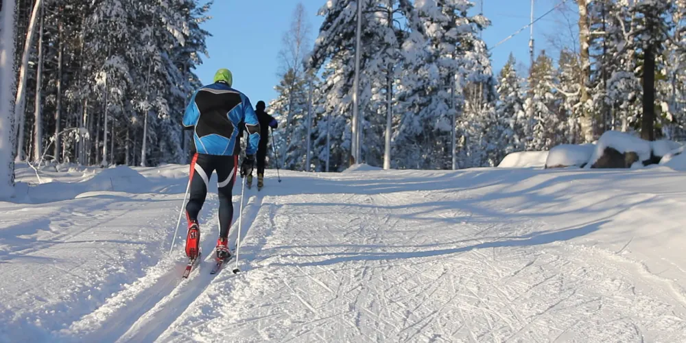 Fina längdskidspår i skogsmiljö