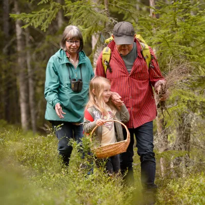 Höstvandring i skogen med korg för svampplockning