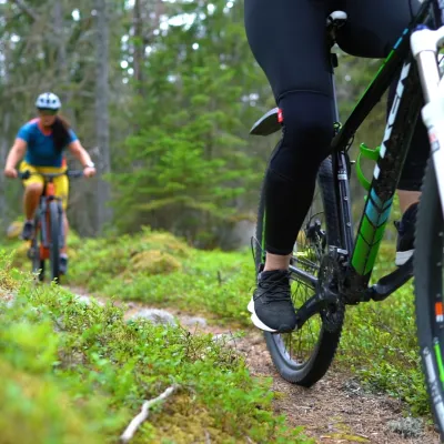 Cykeltur i skogsmiljö