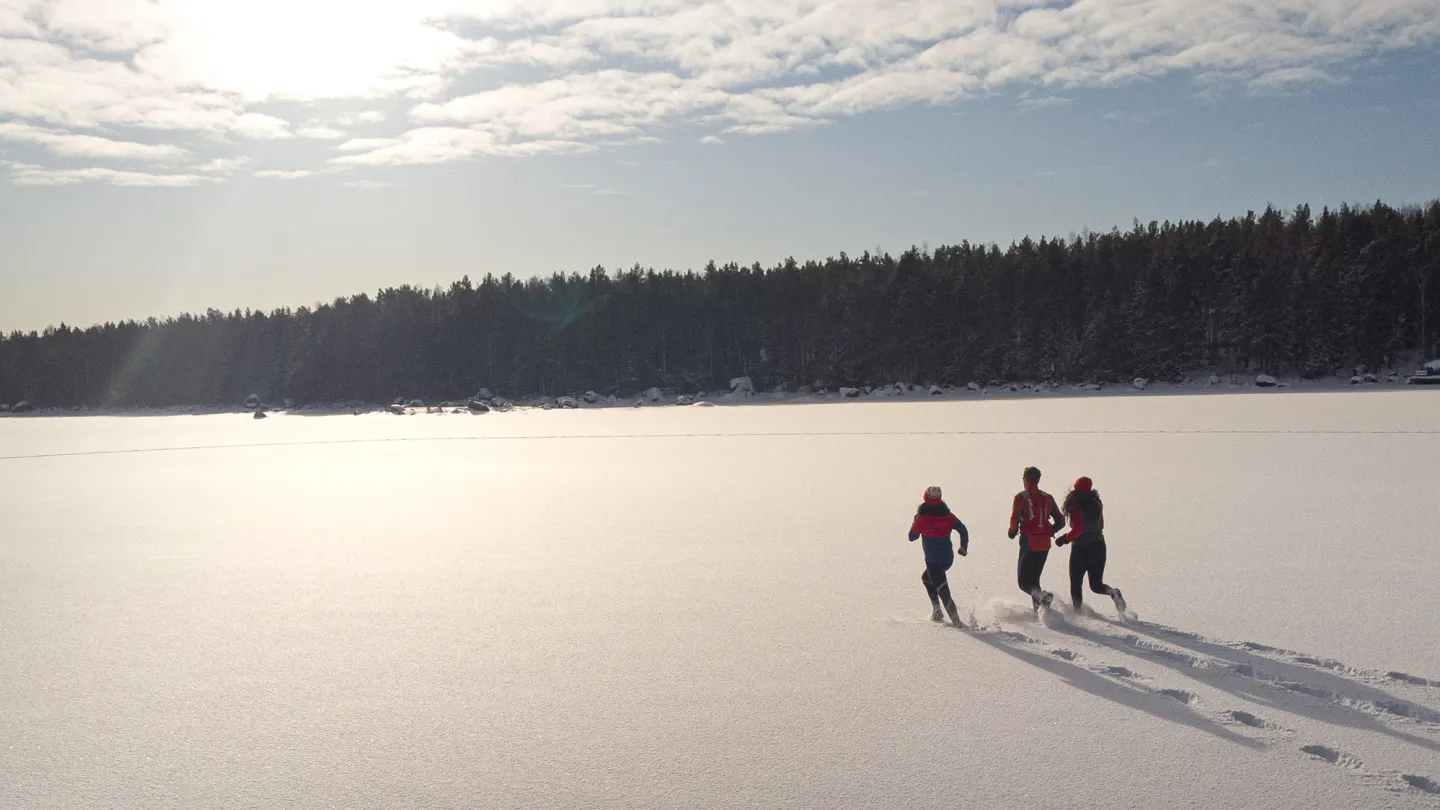 Skärgård vinter