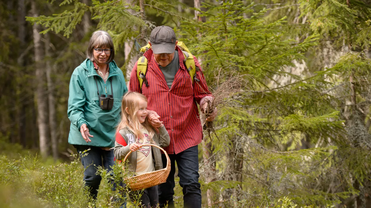 Höstvandring i skogen med korg för svampplockning